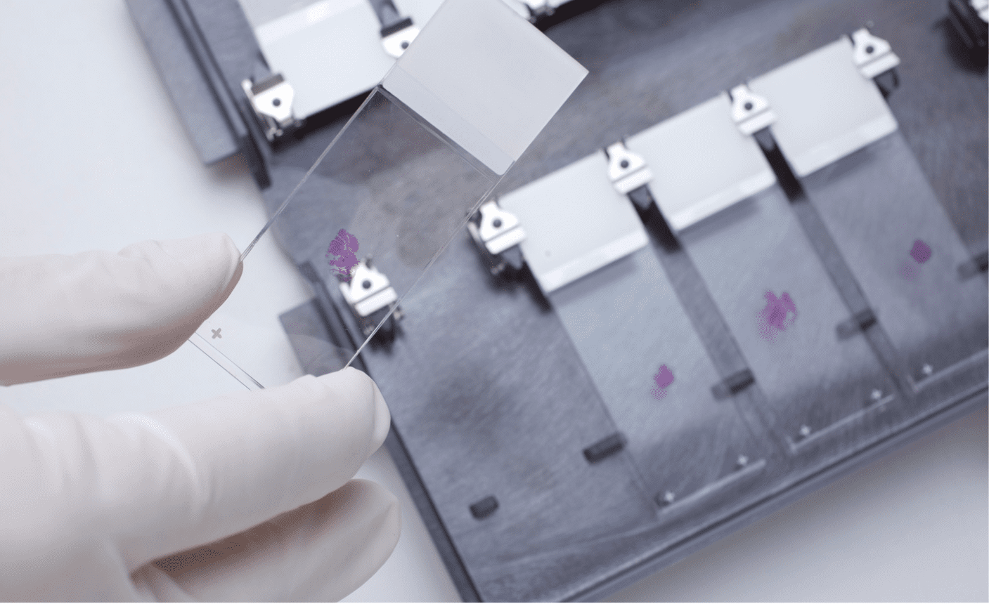 Lab Capabilities
